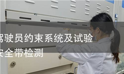 工业车辆驾驶员约束系统及试验方法腰部安全带检测