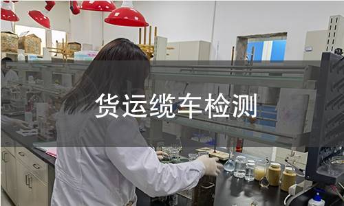 货运缆车检测