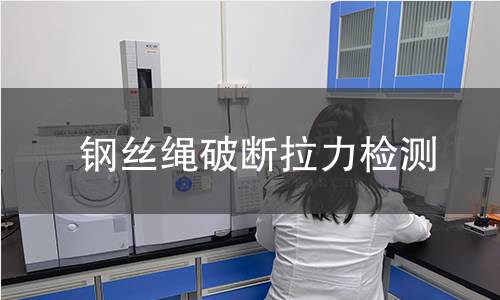 钢丝绳破断拉力检测