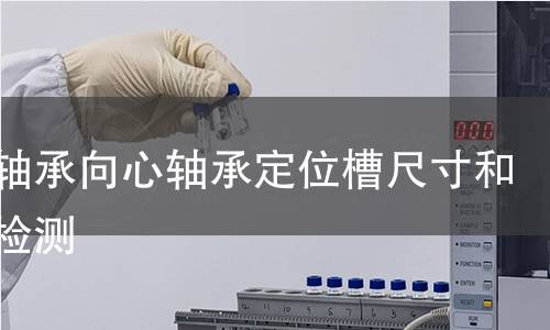 滚动轴承向心轴承定位槽尺寸和公差检测