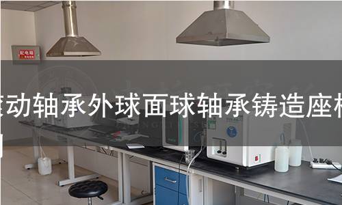 滚动轴承外球面球轴承铸造座检测