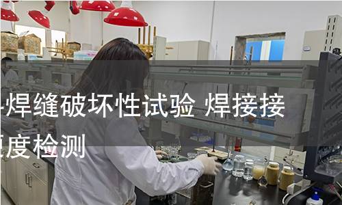 金属材料焊缝破坏性试验 焊接接头显微硬度检测