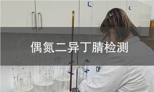 偶氮二异丁腈检测