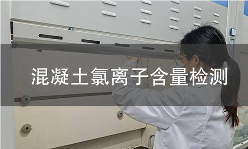 混凝土氯离子含量检测