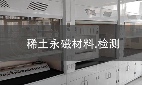 稀土永磁材料.检测