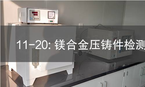 11-20: 镁合金压铸件检测