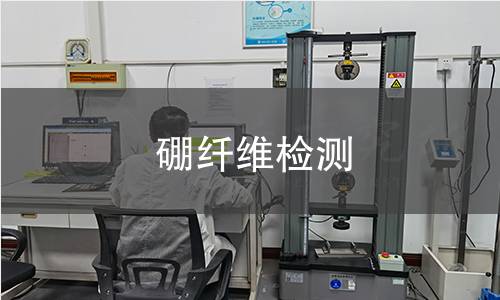 硼纤维检测