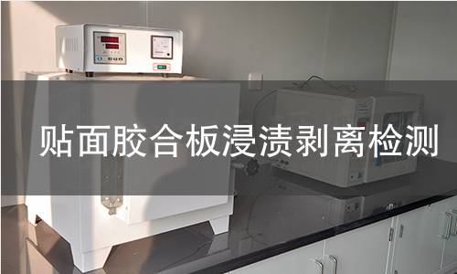 贴面胶合板浸渍剥离检测