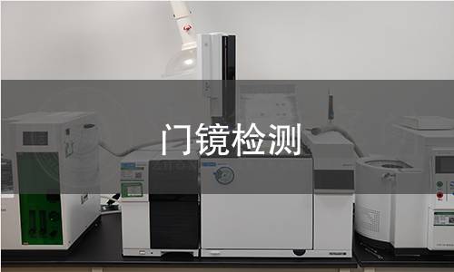 门镜检测