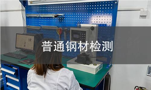 普通钢材检测