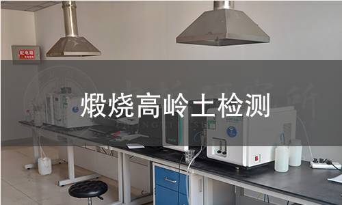 煅烧高岭土检测