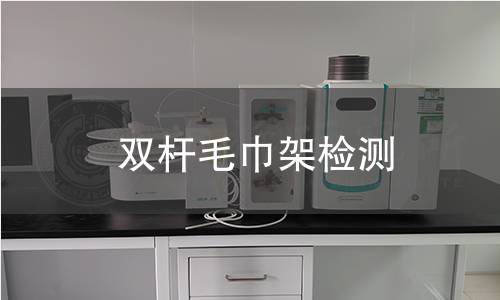 双杆毛巾架检测