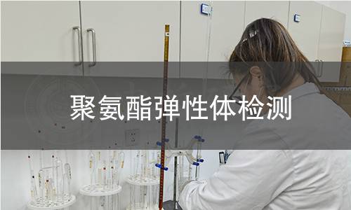 聚氨酯弹性体检测