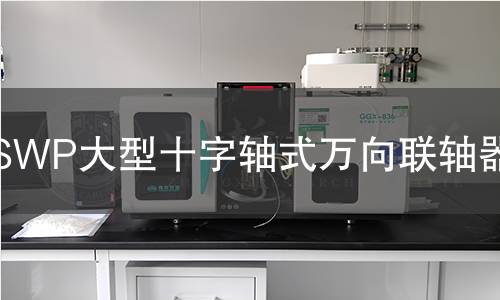 SWP大型十字轴式万向联轴器检测