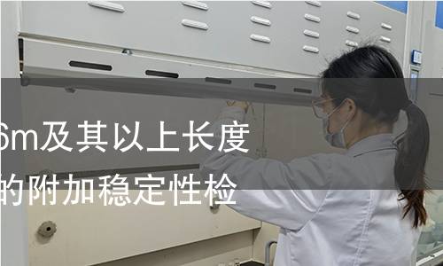 侧面式叉车搬运6m及其以上长度货运集装箱叉车的附加稳定性检测