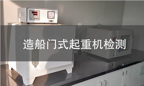 造船门式起重机检测