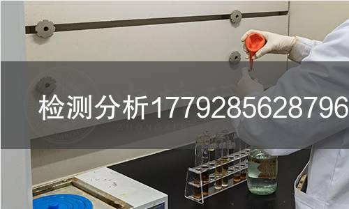 检测分析1779285628796检测