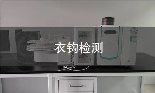 衣钩检测