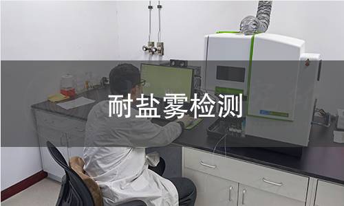 耐盐雾检测
