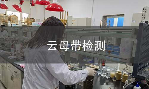 云母带检测