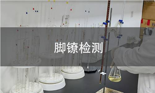 脚镣检测