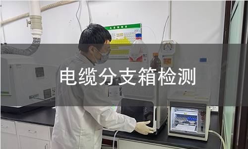 电缆分支箱检测