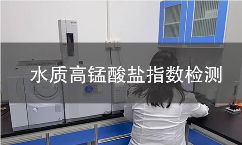 水质高锰酸盐指数检测