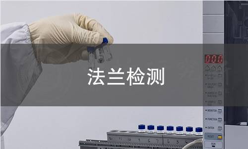 法兰检测