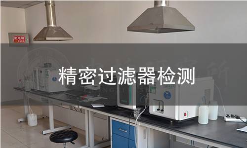 精密过滤器检测