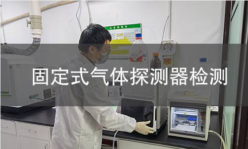 固定式气体探测器检测