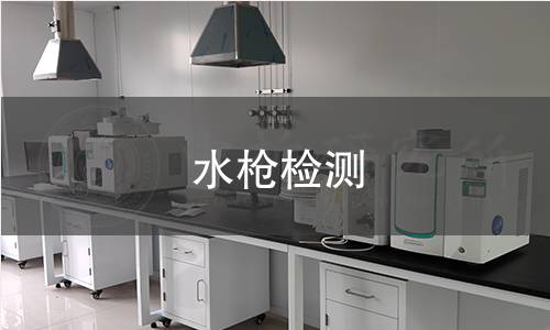 水枪检测
