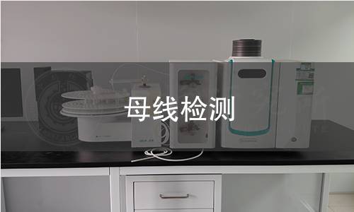 母线检测