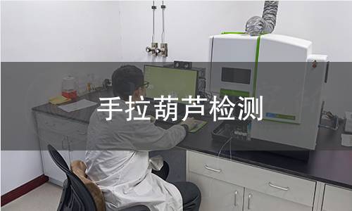 手拉葫芦检测
