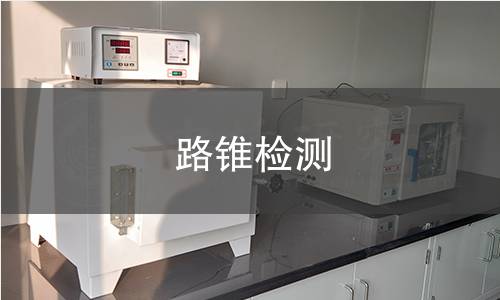 路锥检测