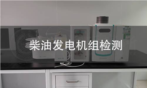 柴油发电机组检测