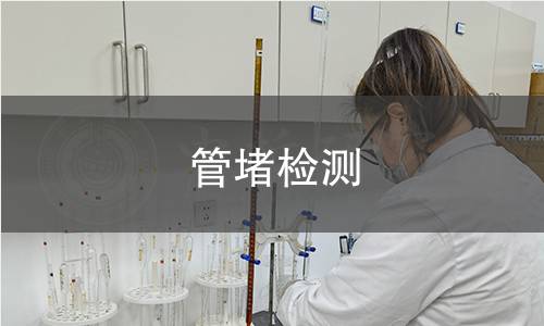 管堵检测