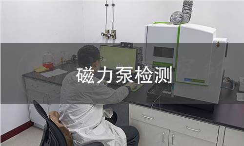 磁力泵检测