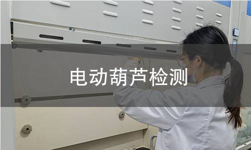 电动葫芦检测