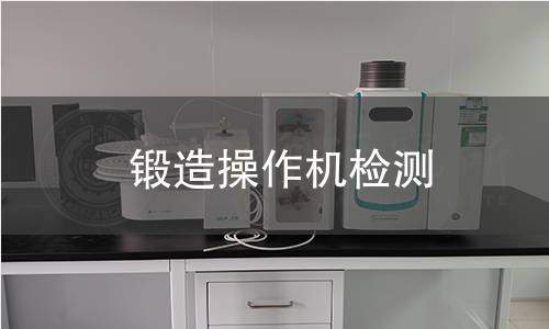 锻造操作机检测