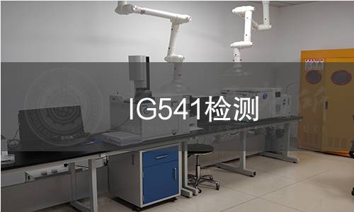 IG541检测