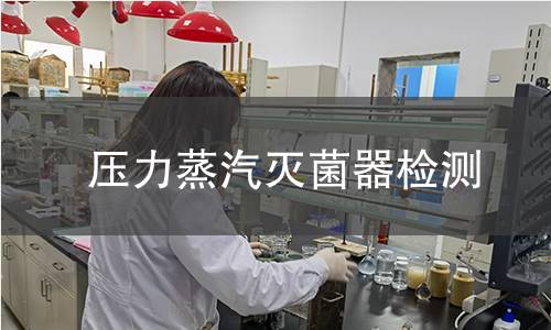 压力蒸汽灭菌器检测