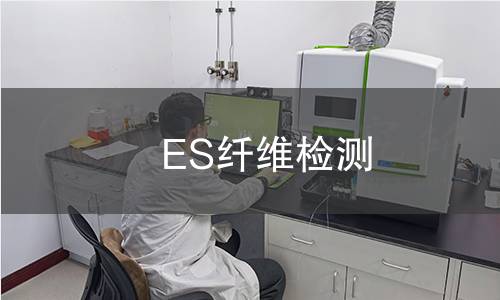 ES纤维检测