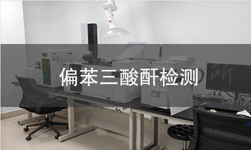 偏苯三酸酐检测