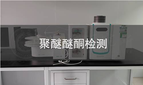 聚醚醚酮检测