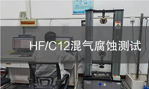 HF/C12混气腐蚀测试