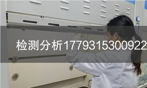 检测分析1779315300922检测