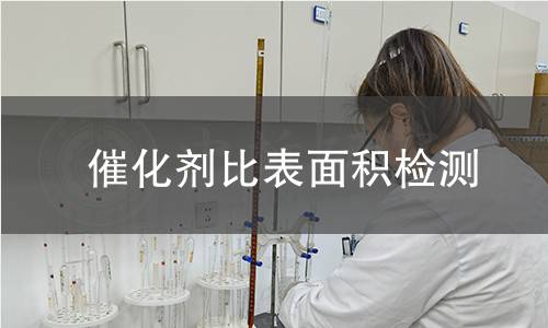 催化剂比表面积检测
