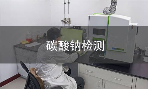 碳酸钠检测