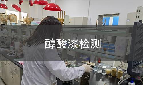 醇酸漆检测