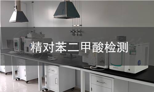 精对苯二甲酸检测